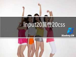 input 属性 css