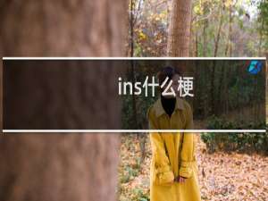 ins什么梗