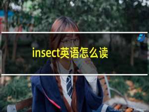 insect英语怎么读
