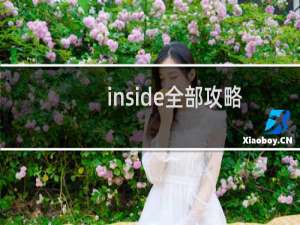 inside全部攻略