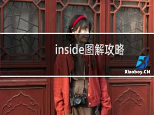 inside图解攻略