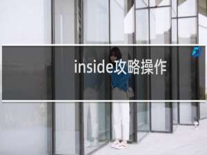 inside攻略操作