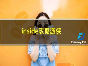 inside攻略游侠