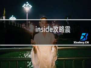 inside攻略震