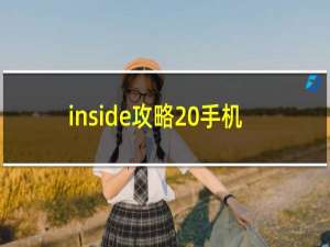 inside攻略 手机