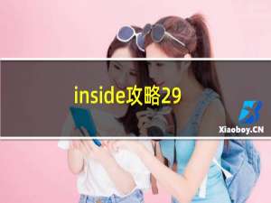 inside攻略29