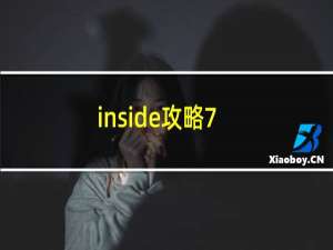 inside攻略7