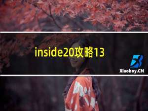 inside 攻略13