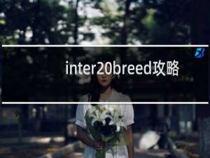 inter breed攻略