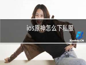 ios原神怎么下私服