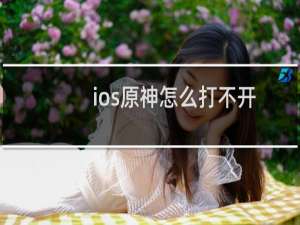 ios原神怎么打不开