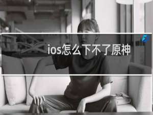 ios怎么下不了原神