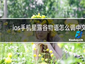 ios手机星露谷物语怎么调中文