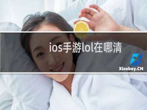 ios手游lol在哪清理缓存