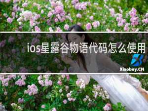 ios星露谷物语代码怎么使用