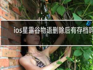 ios星露谷物语删除后有存档吗