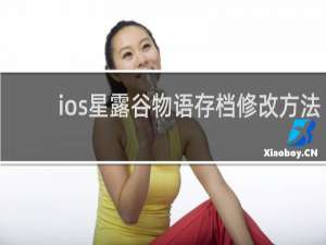 ios星露谷物语存档修改方法