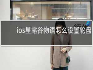 ios星露谷物语怎么设置轮盘
