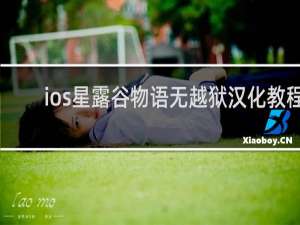 ios星露谷物语无越狱汉化教程