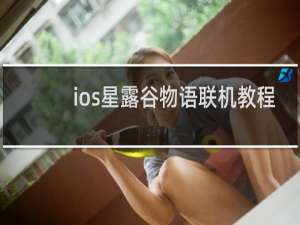 ios星露谷物语联机教程