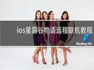 ios星露谷物语远程联机教程