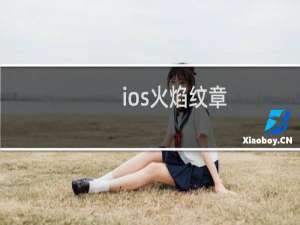 ios火焰纹章+如何安装不了