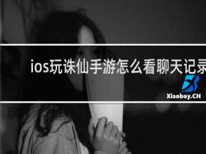 ios玩诛仙手游怎么看聊天记录