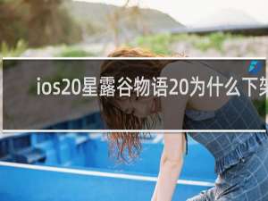 ios 星露谷物语 为什么下架