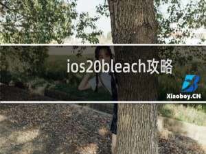 ios bleach攻略