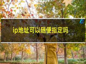 ip地址可以随便指定吗