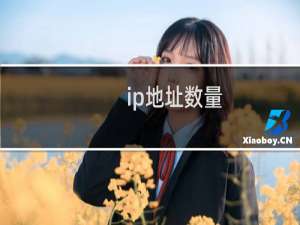 ip地址数量