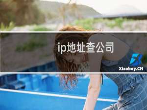 ip地址查公司