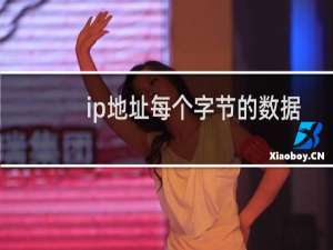 ip地址每个字节的数据范围是