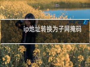 ip地址转换为子网掩码