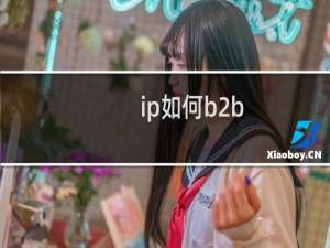 ip如何b2b