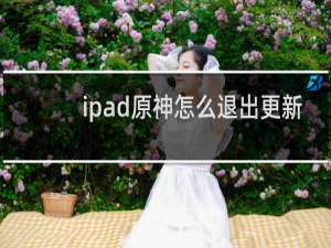 ipad原神怎么退出更新