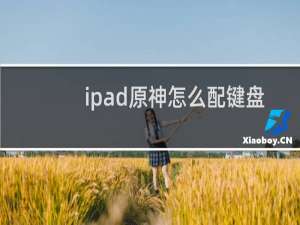 ipad原神怎么配键盘