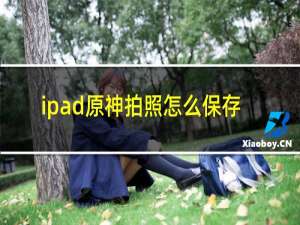 ipad原神拍照怎么保存