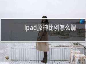 ipad原神比例怎么调