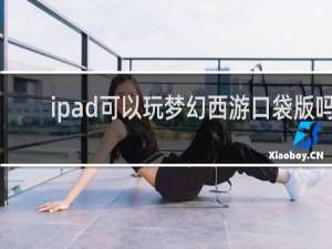 ipad可以玩梦幻西游口袋版吗