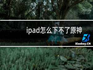 ipad怎么下不了原神
