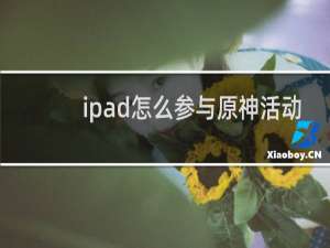 ipad怎么参与原神活动