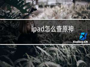 ipad怎么查原神