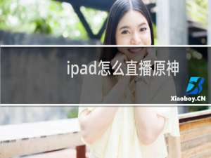 ipad怎么直播原神