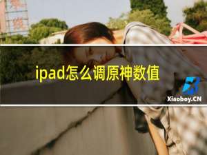 ipad怎么调原神数值