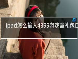 ipad怎么输入4399游戏盒礼包口令