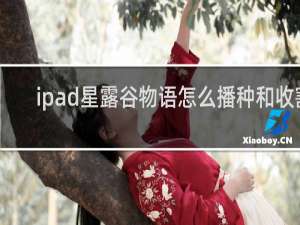 ipad星露谷物语怎么播种和收割