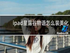 ipad星露谷物语怎么装美化