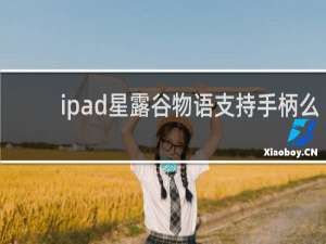 ipad星露谷物语支持手柄么