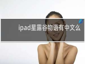 ipad星露谷物语有中文么